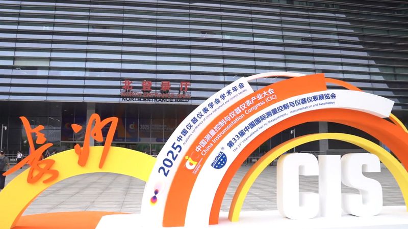 称重仪表参数解析：揭秘仪表背后的技术秘密